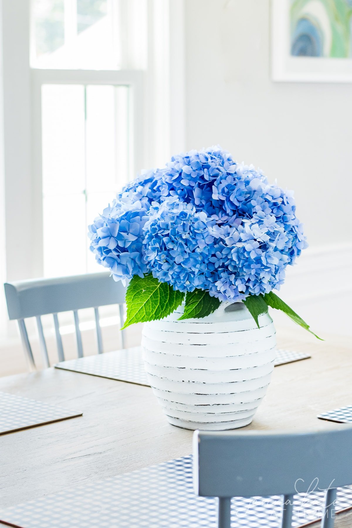 bright blue hydrangea flower arrangement in a white vase