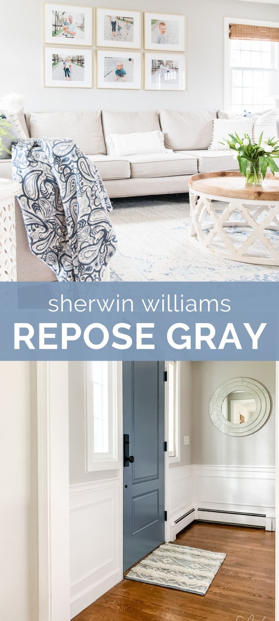 sherwin williams repose gray
