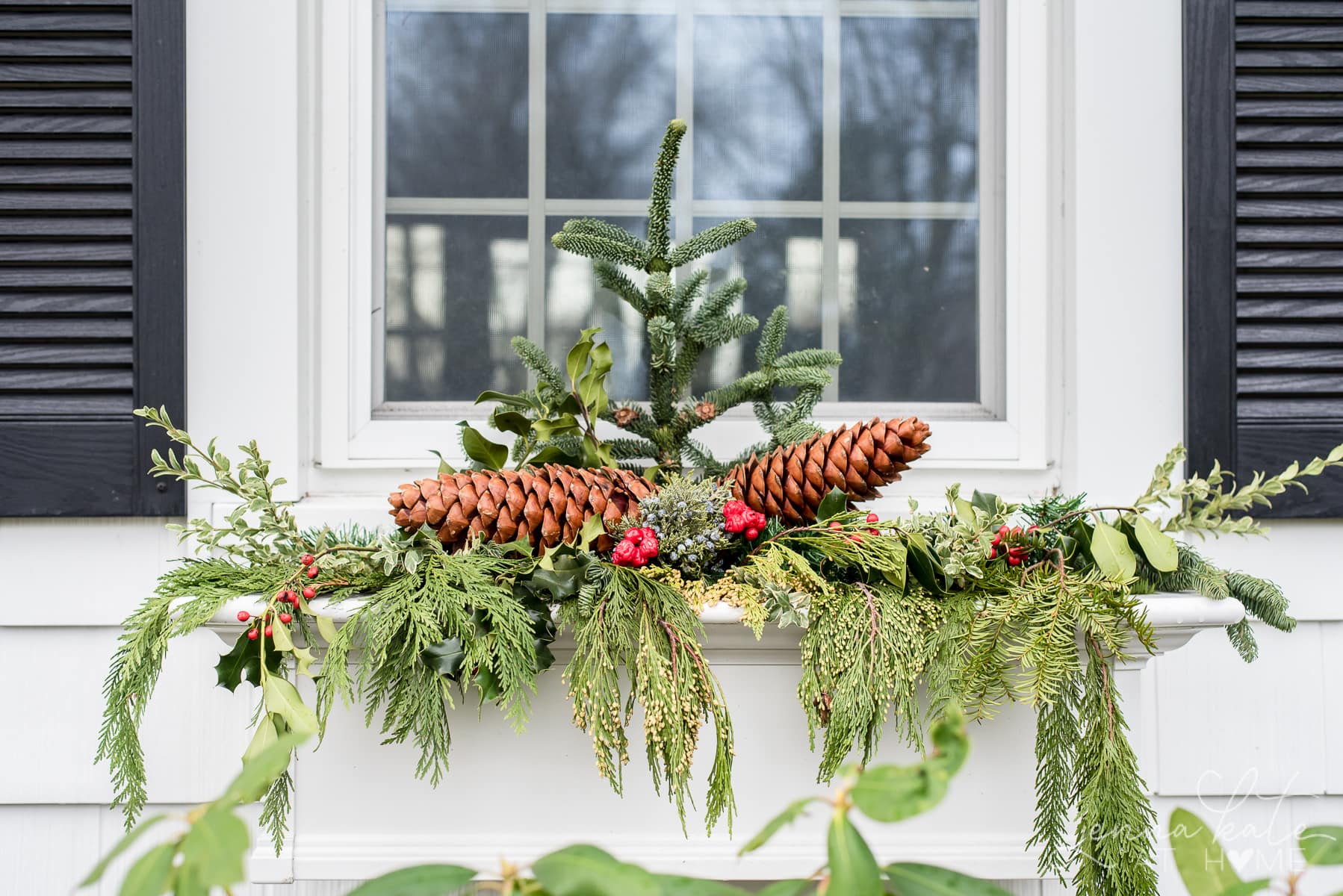 Window box filled with Christmas greenery, pinecones and berries