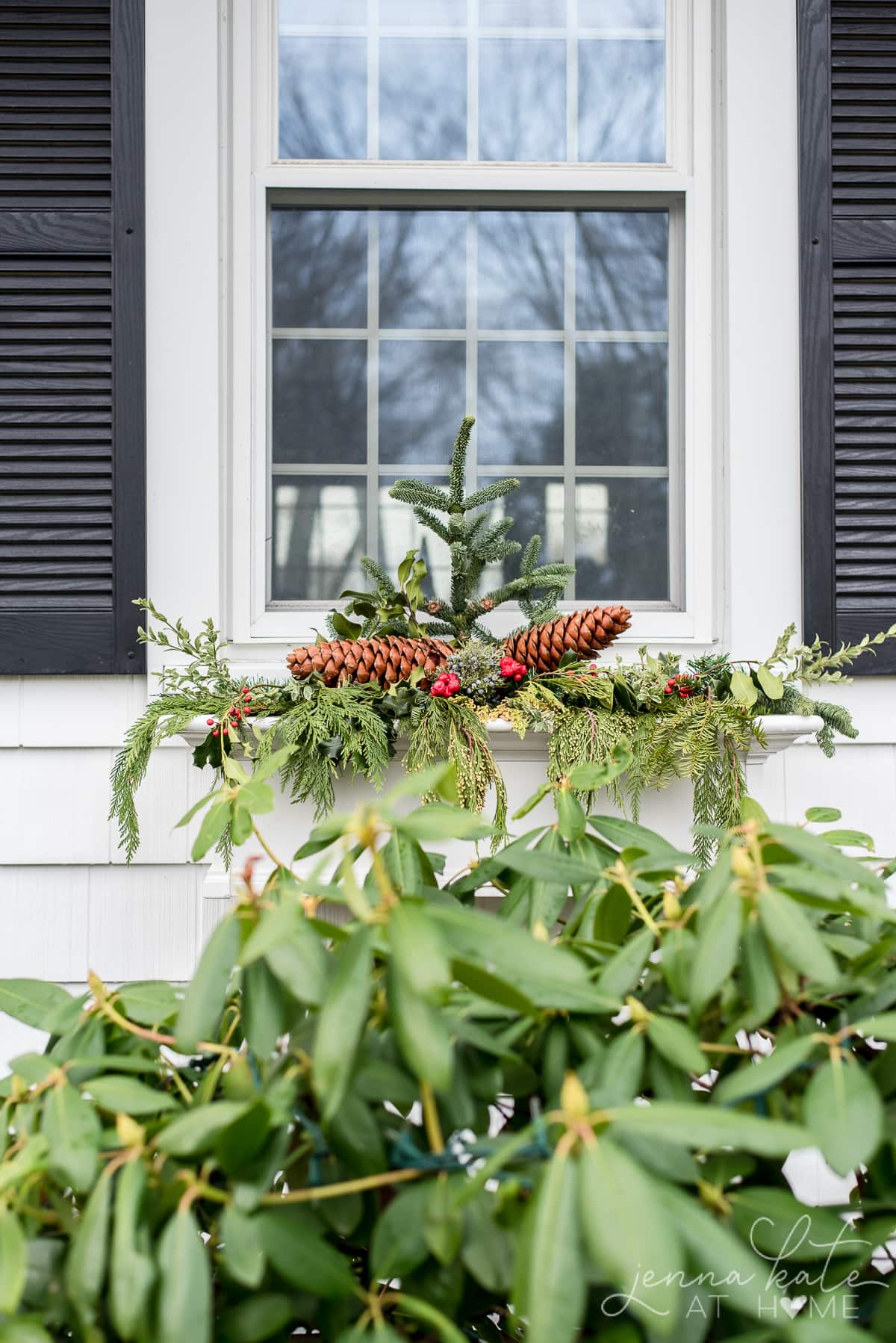 The finished Christmas window box arrangement with black shutters on either side