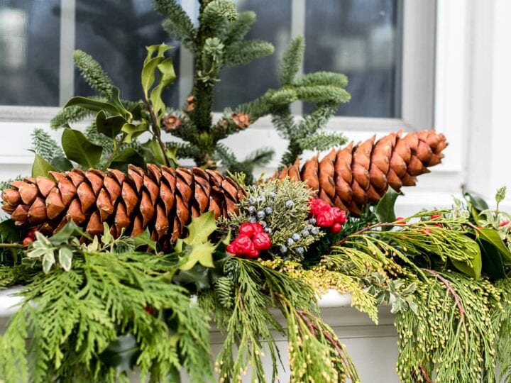 Make a Simple Pine Bough Arrangement - Organize and Decorate Everything