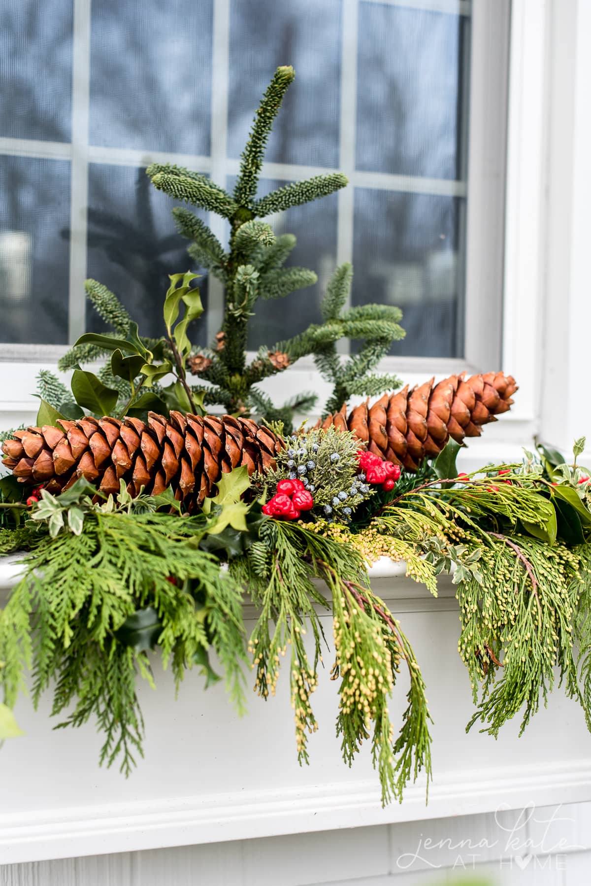 Close up of the holly berries and pinecones in the Christmas window arrangement