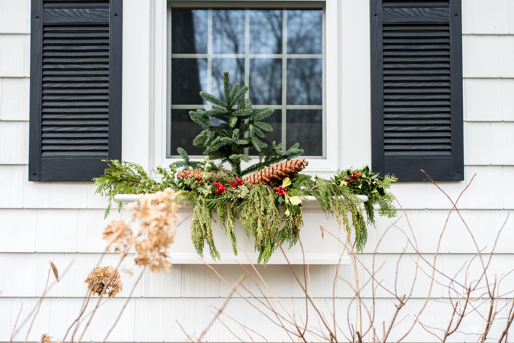 Christmas window box on a white colonial house with black shutters