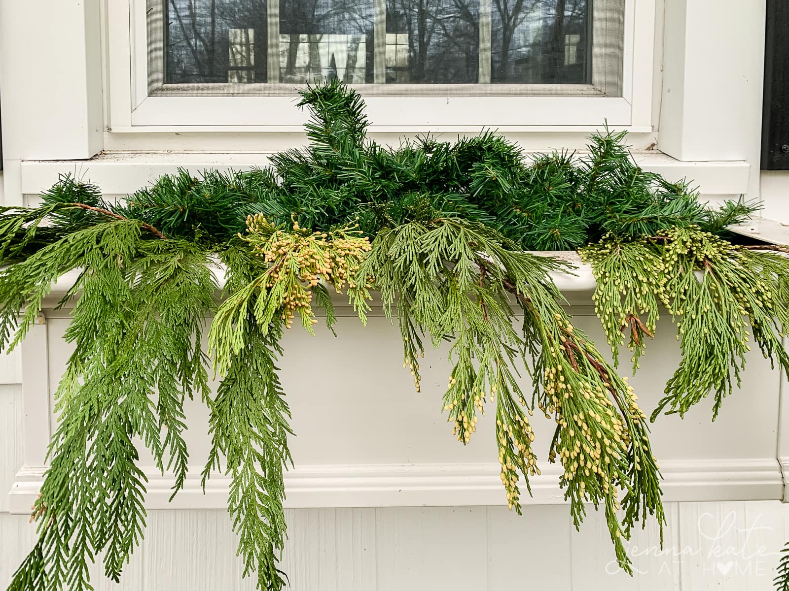Cedar branches draping over the front of the window box