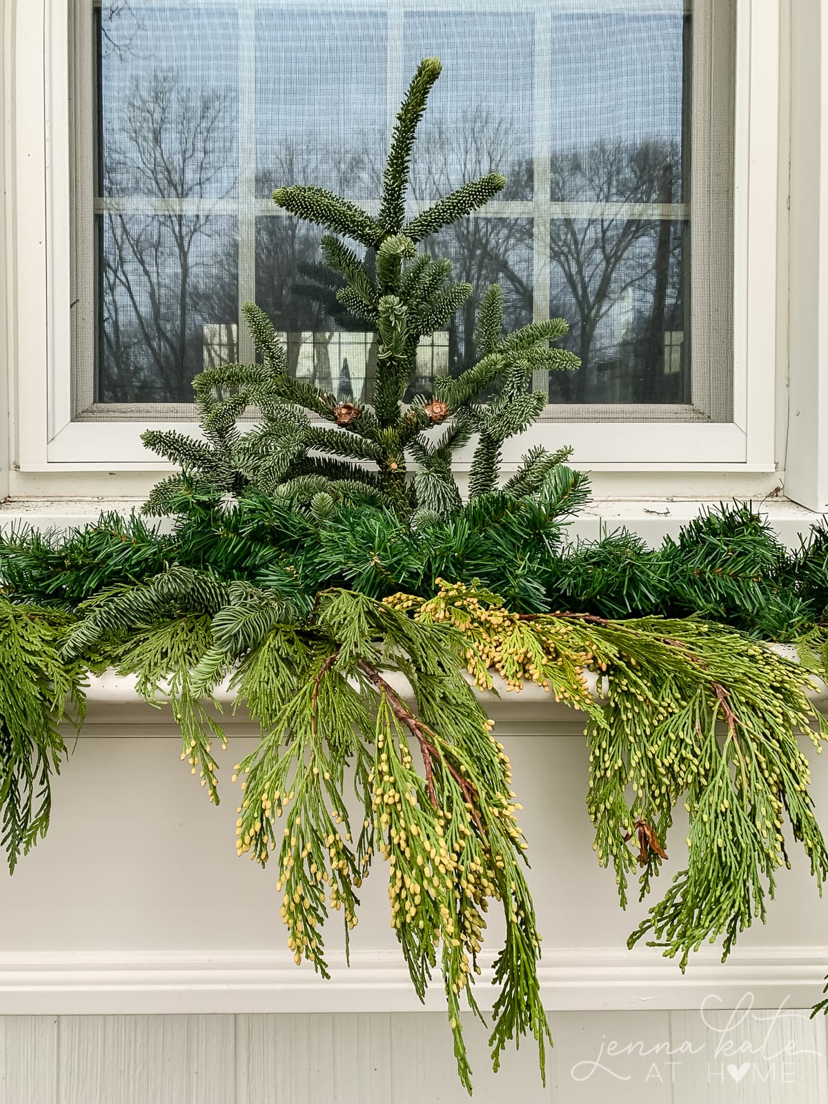A large piece of fir at the back of the window box with cedar draping over the front