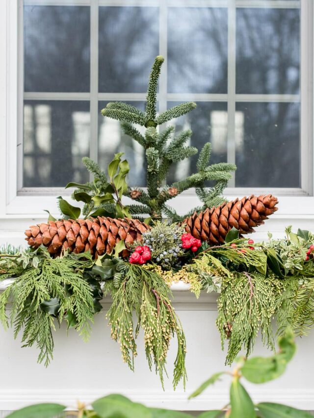 How to Decorate a Window Box for Christmas Story