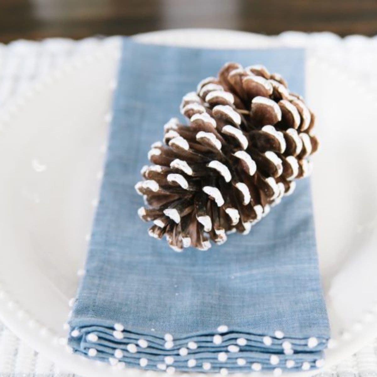 pinecone on a blue napkin
