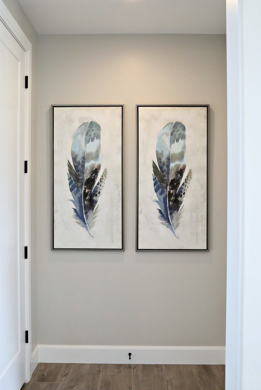 feather artwork on walls painted benjamin moore collingwood