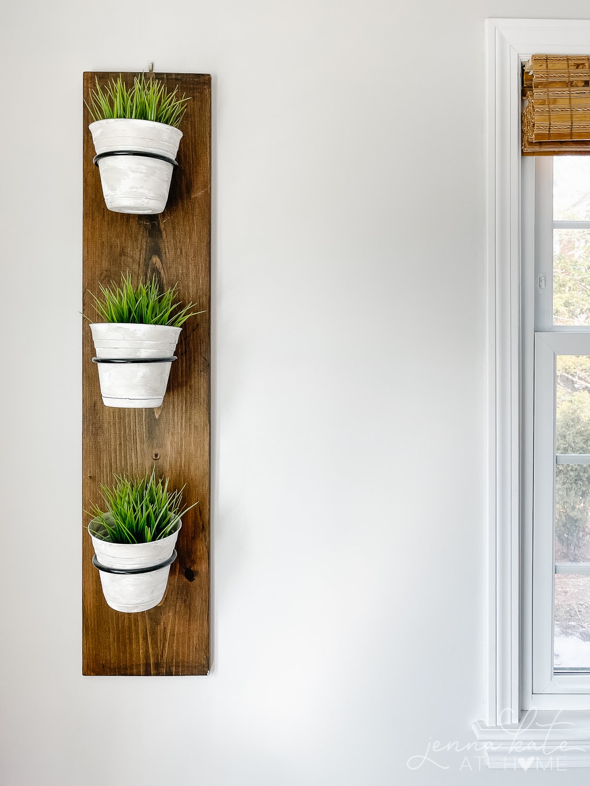 vertical plant holder with green grass plants