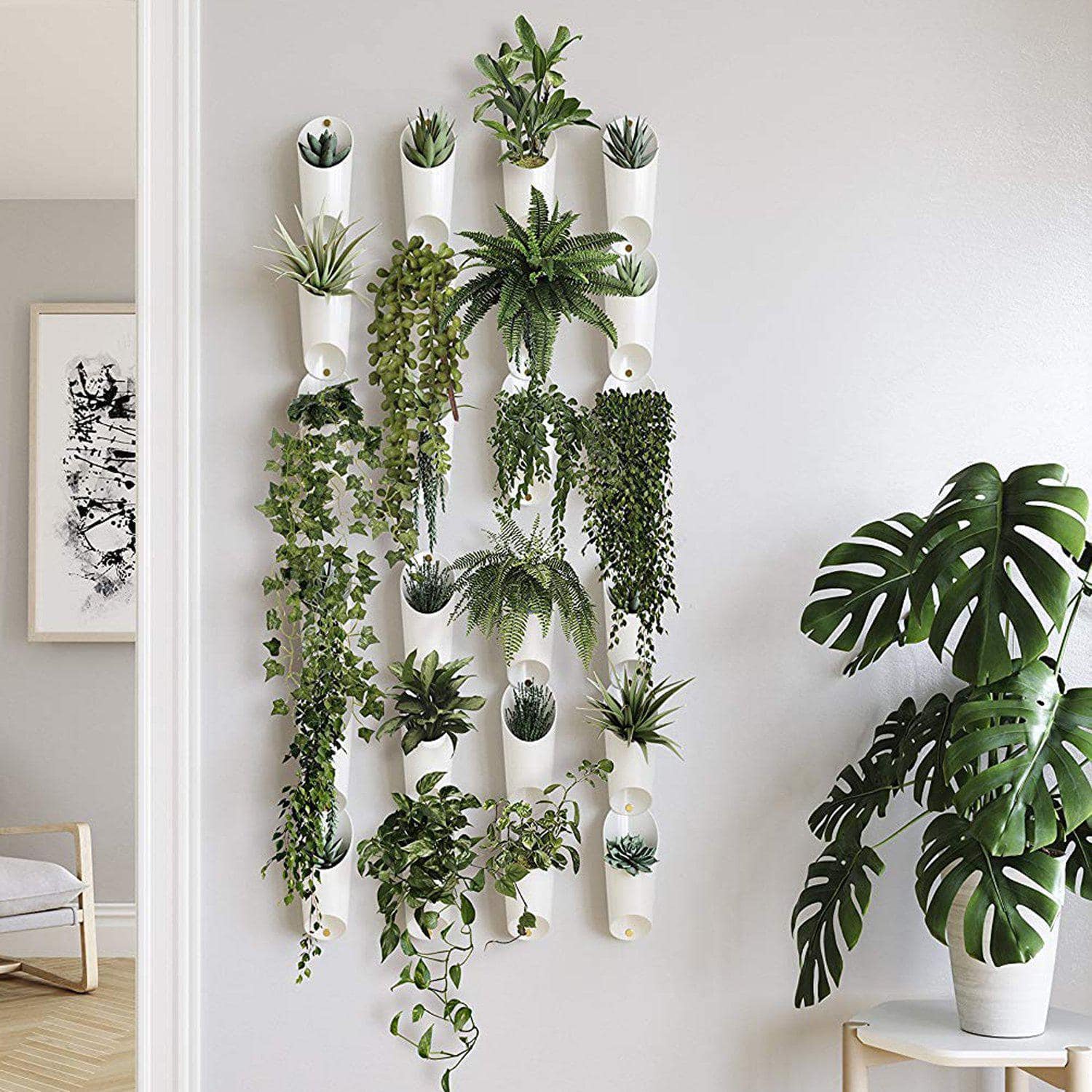 living plant wall