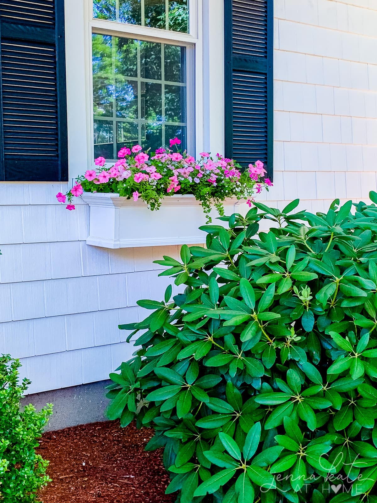 Pink flowers in a summer window box on the front of a white house