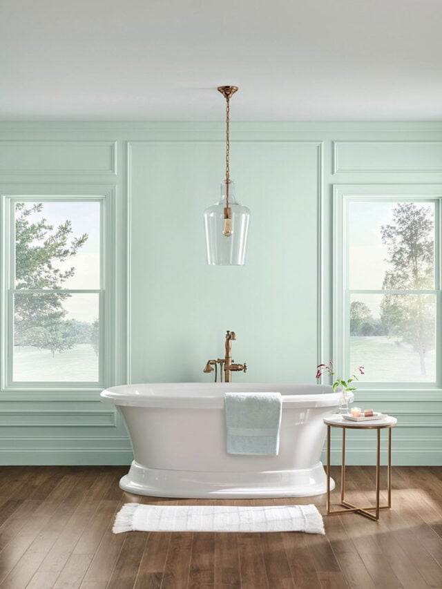 Rainwashed SW bathroom paint color