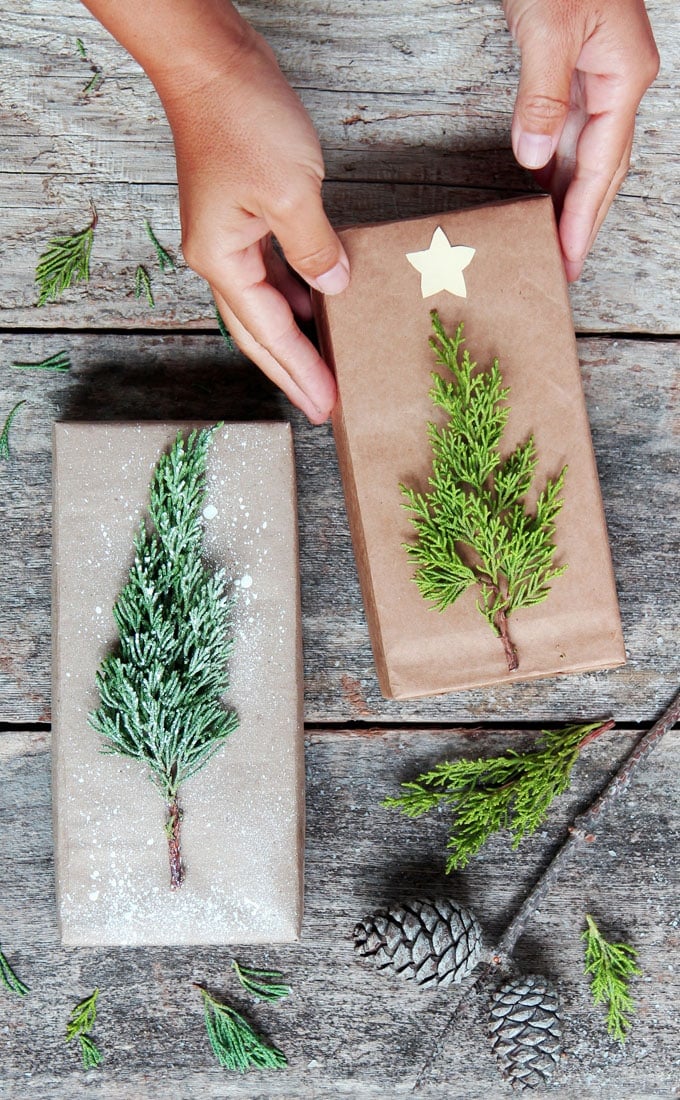 brown paper presents with fresh evergreen sprigs made to look like Christmas trees