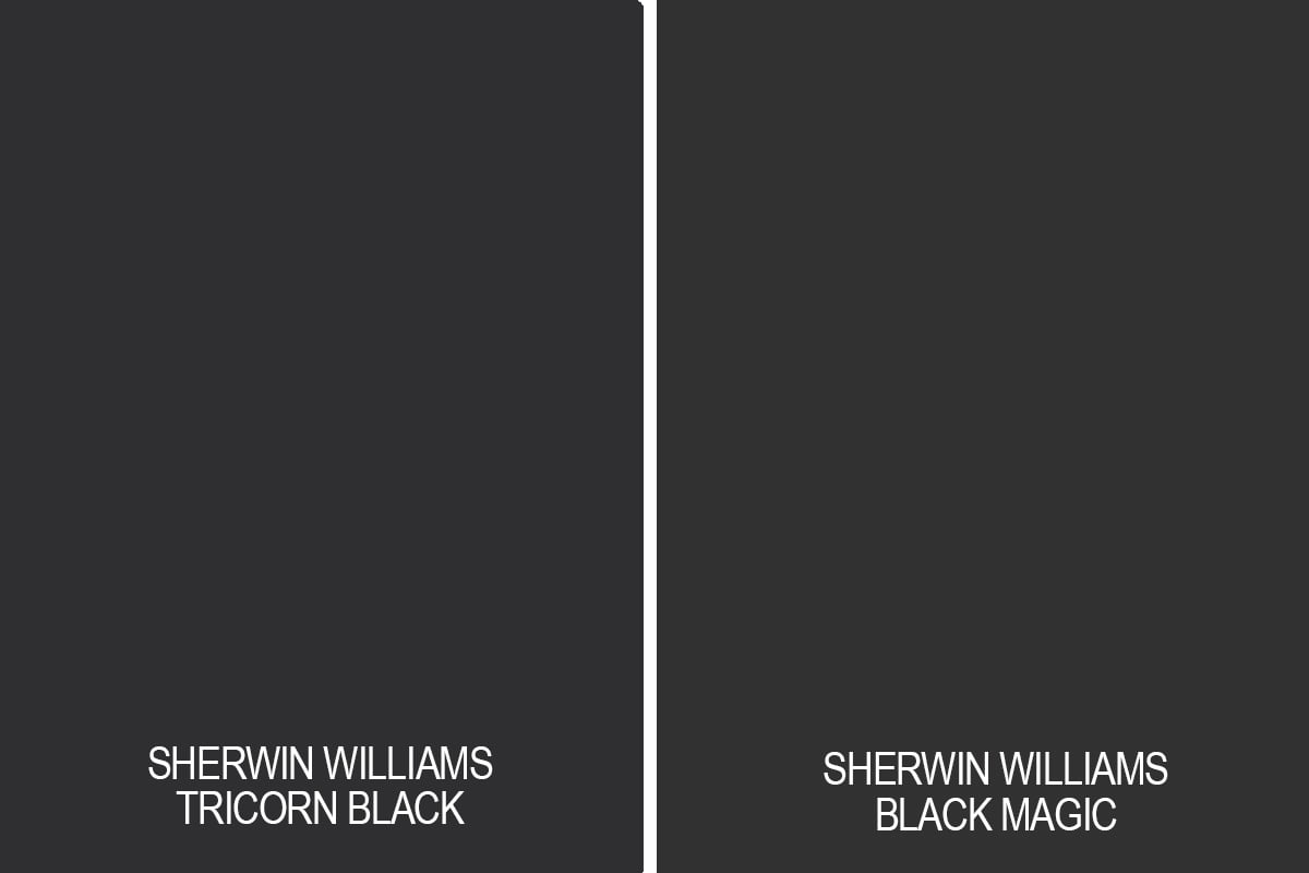 comparison swatch of tricorn black to black magic