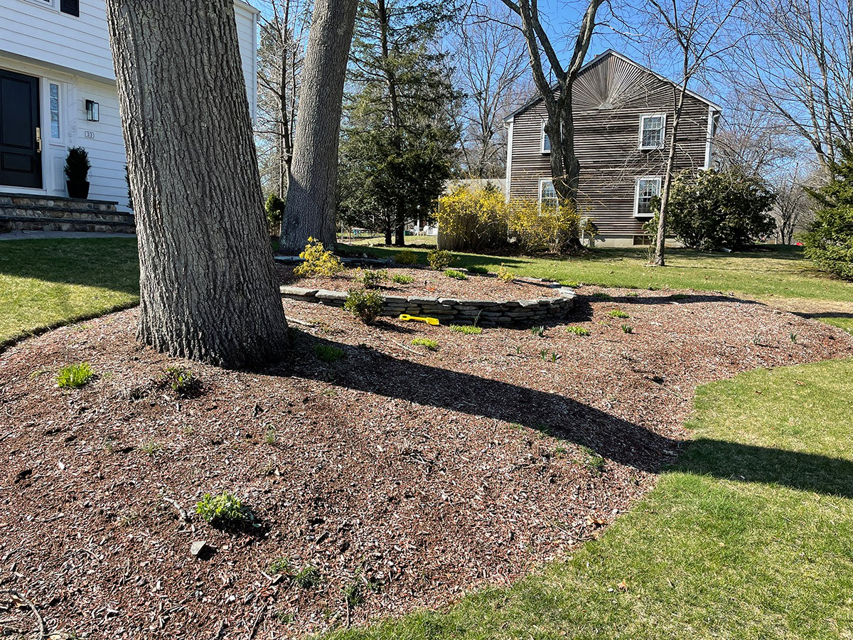 an area around a tree for plants