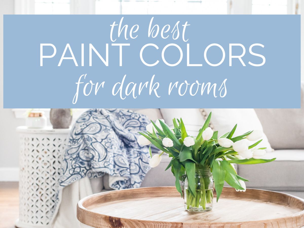 header image with text that reads the best paint colors for dark rooms