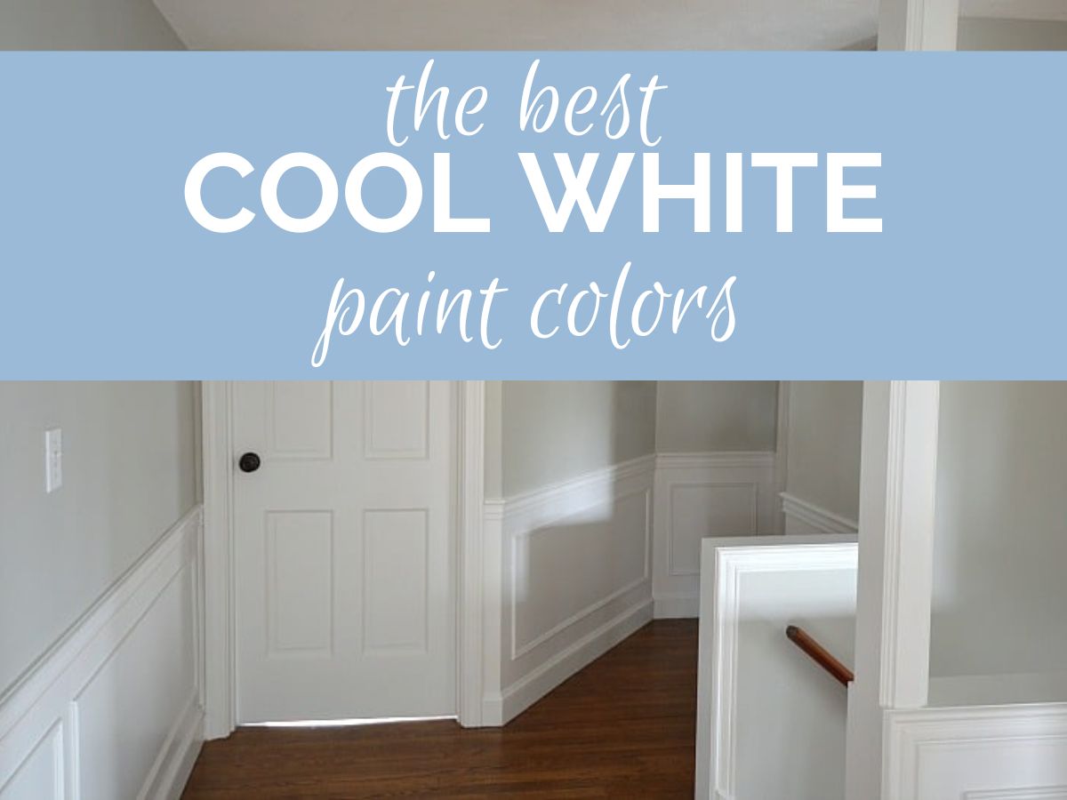 header image for the best cool white paint colors