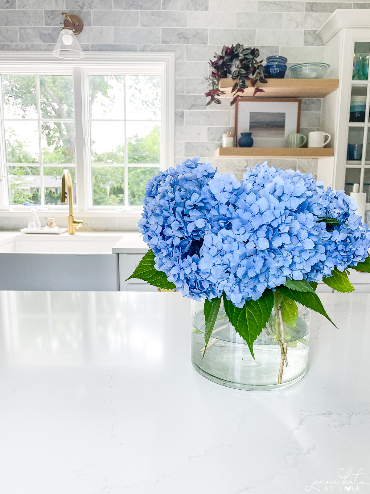 fresh hydrangea blooms in a glass vase in a kitchen