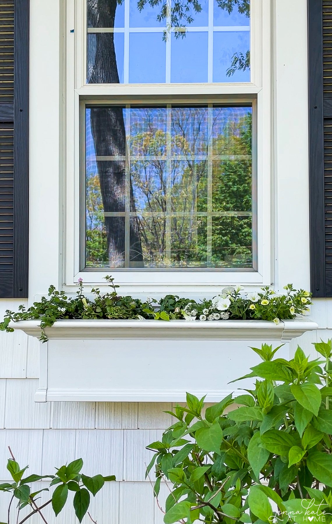 a window box filled with simple greenery and white flowers