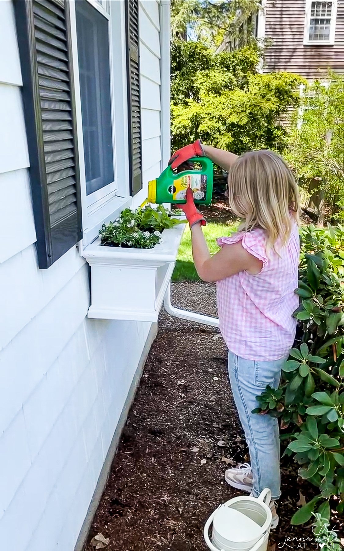 a woman applying fertilizer into window box plants