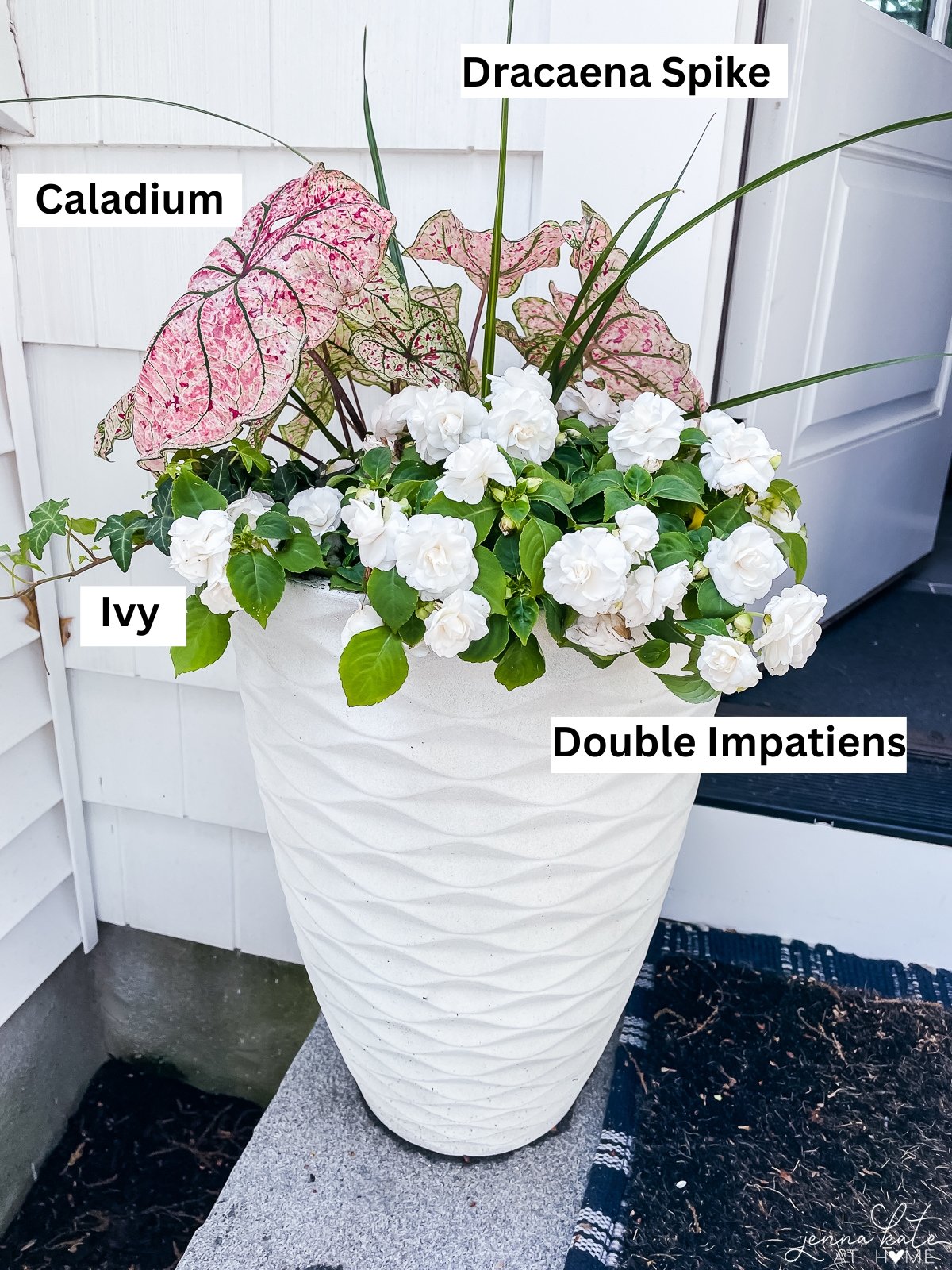 Part-sun planter with Caladkium (elephant ears), Draecena spike, double impatiens and ivy