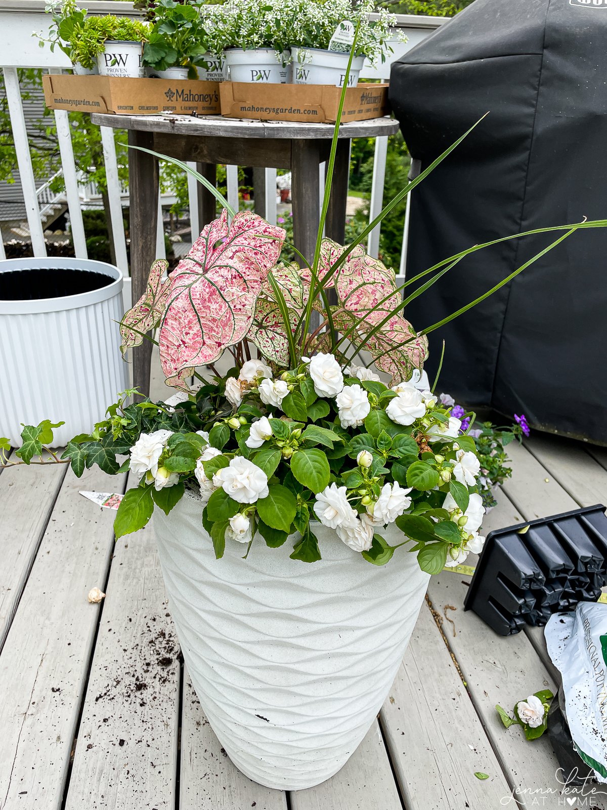 a close up view of a white planter with white flowers in a pot 