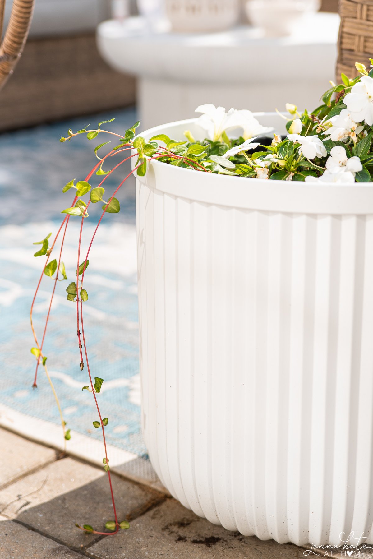 Ivy spilling over the side of a white planter filled with new guinea impatiens