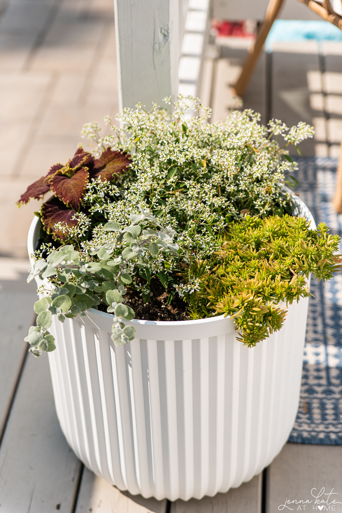 large planter filled with various green and white plants for summer