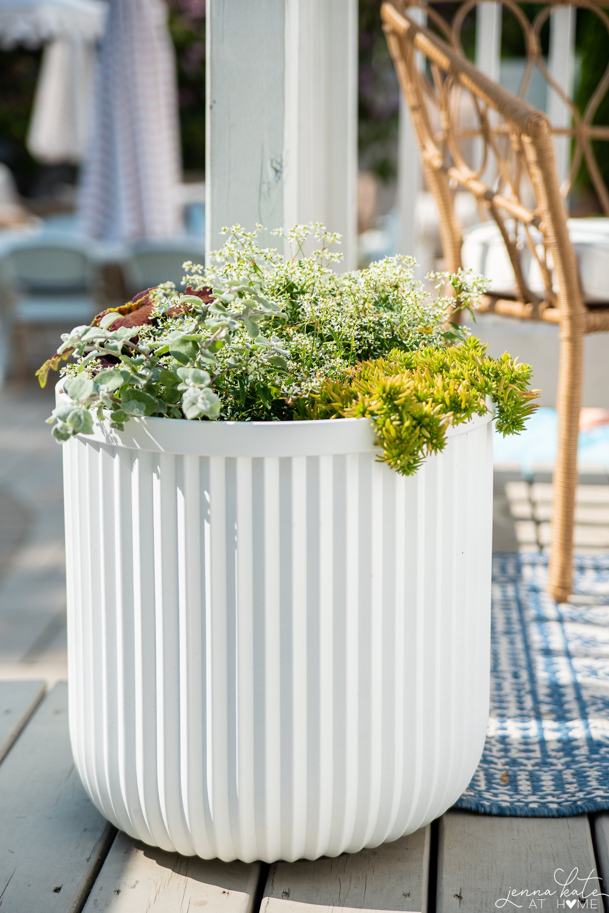 Large white planter on deck filled with green and white plants