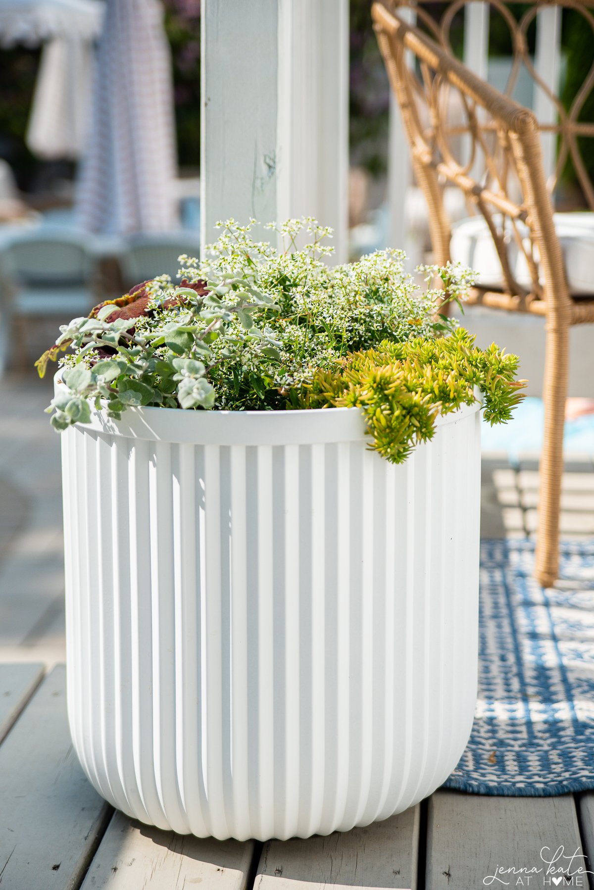 White planter store