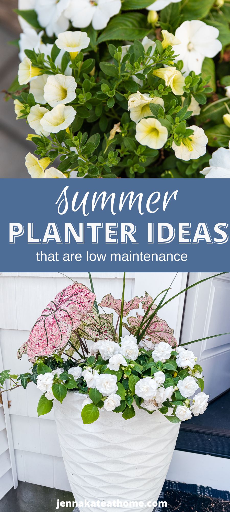 summer planter ideas pin