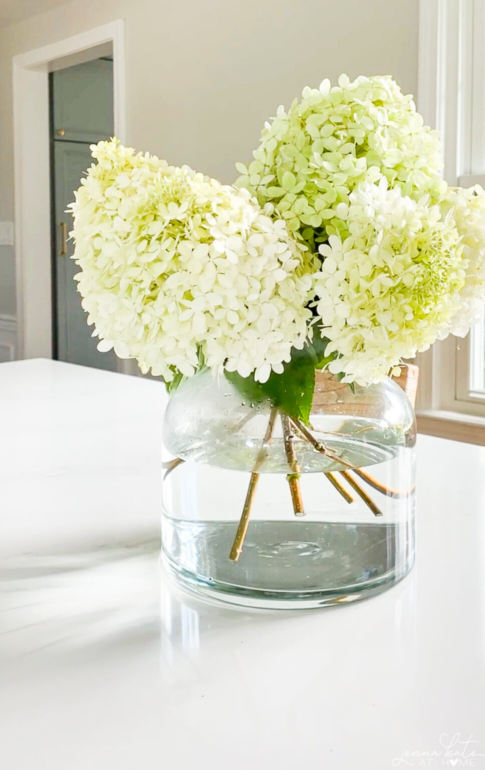 How To Stop Hydrangeas From Wilting Jenna Kate at Home