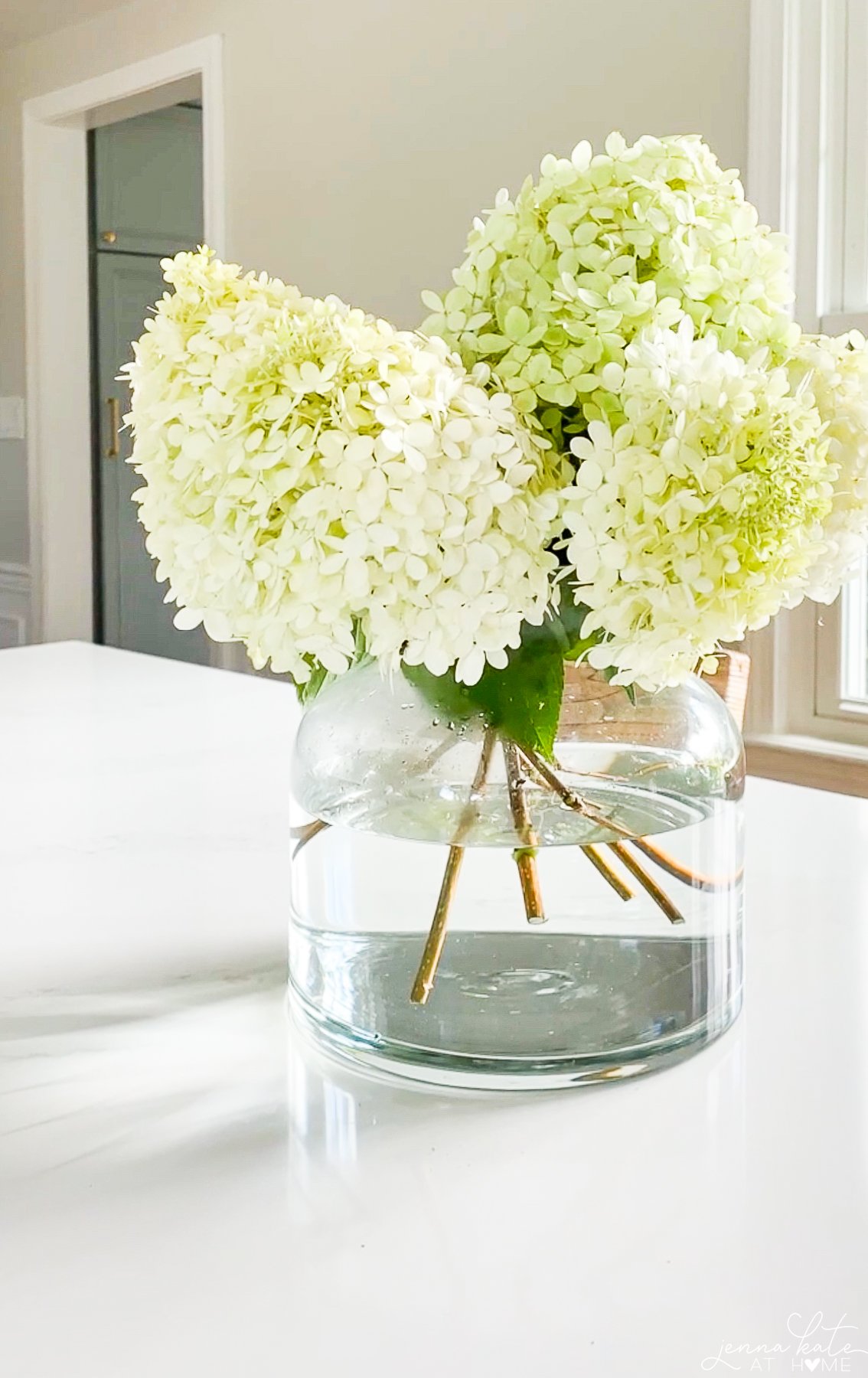 limelight hydrangeas in a glass vase 