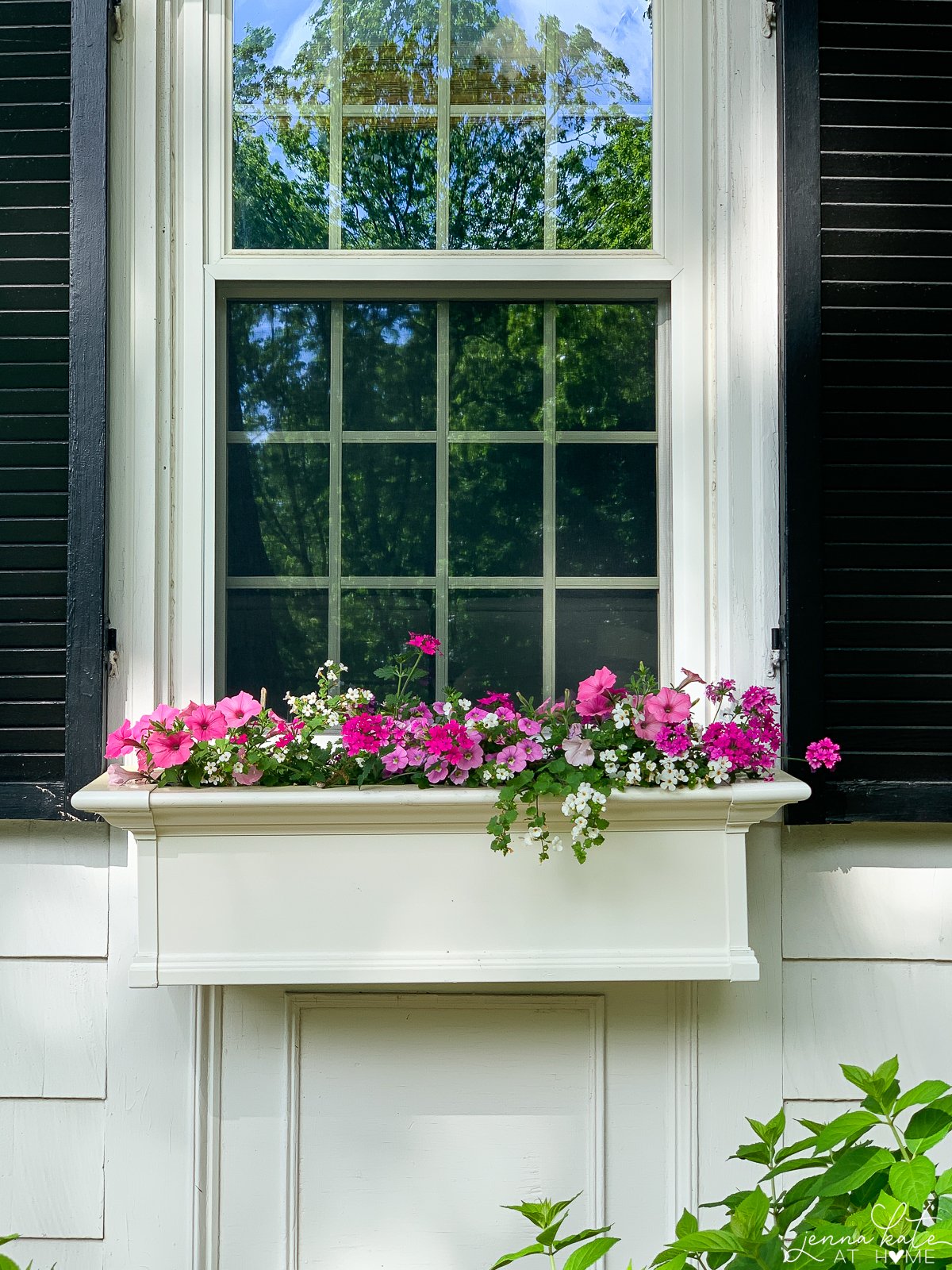 window box full of pink flowers