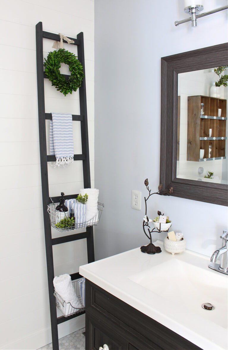 Storage ladder in bathroom