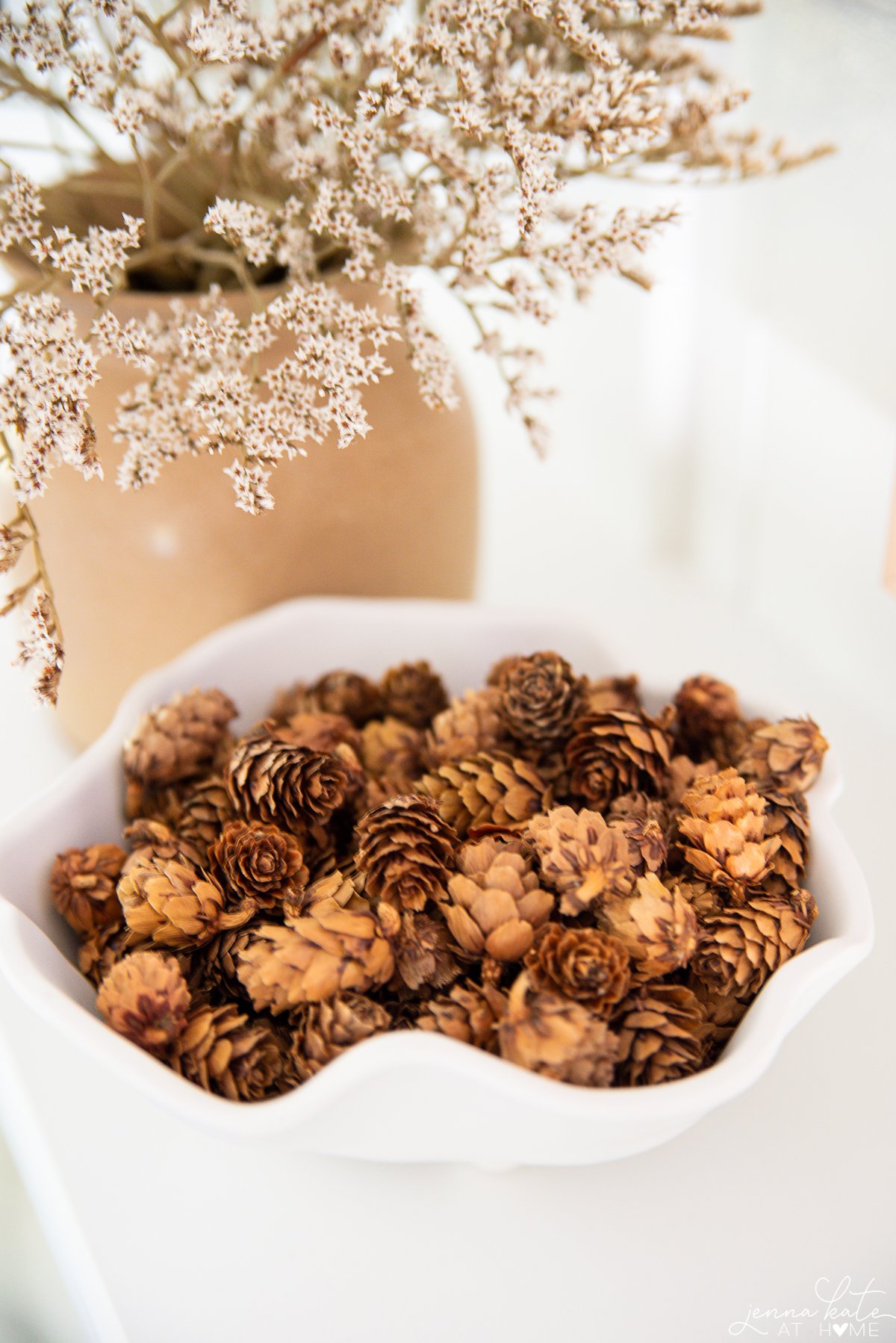 white bowl filled with small pinecones