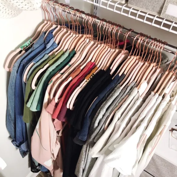 Cohesive, matching hangers in a closet.