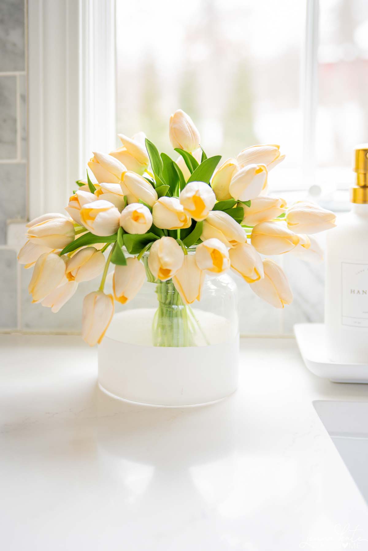 poetto vase lookalike on a kitchen countertop