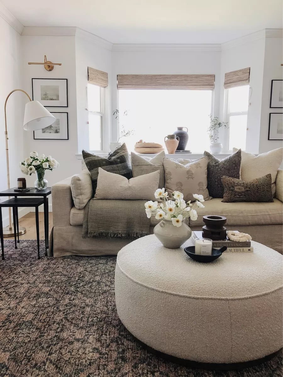 organic modern style living room.